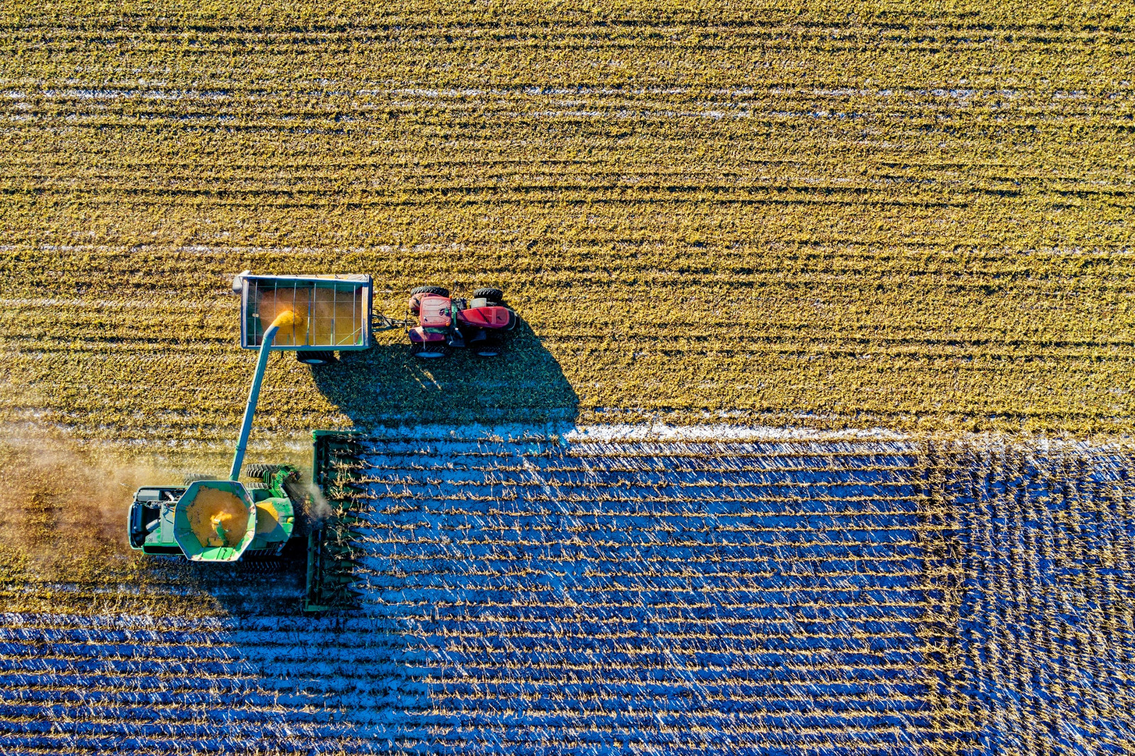 Máquinas agrícolas: alto investimento requer proteção
