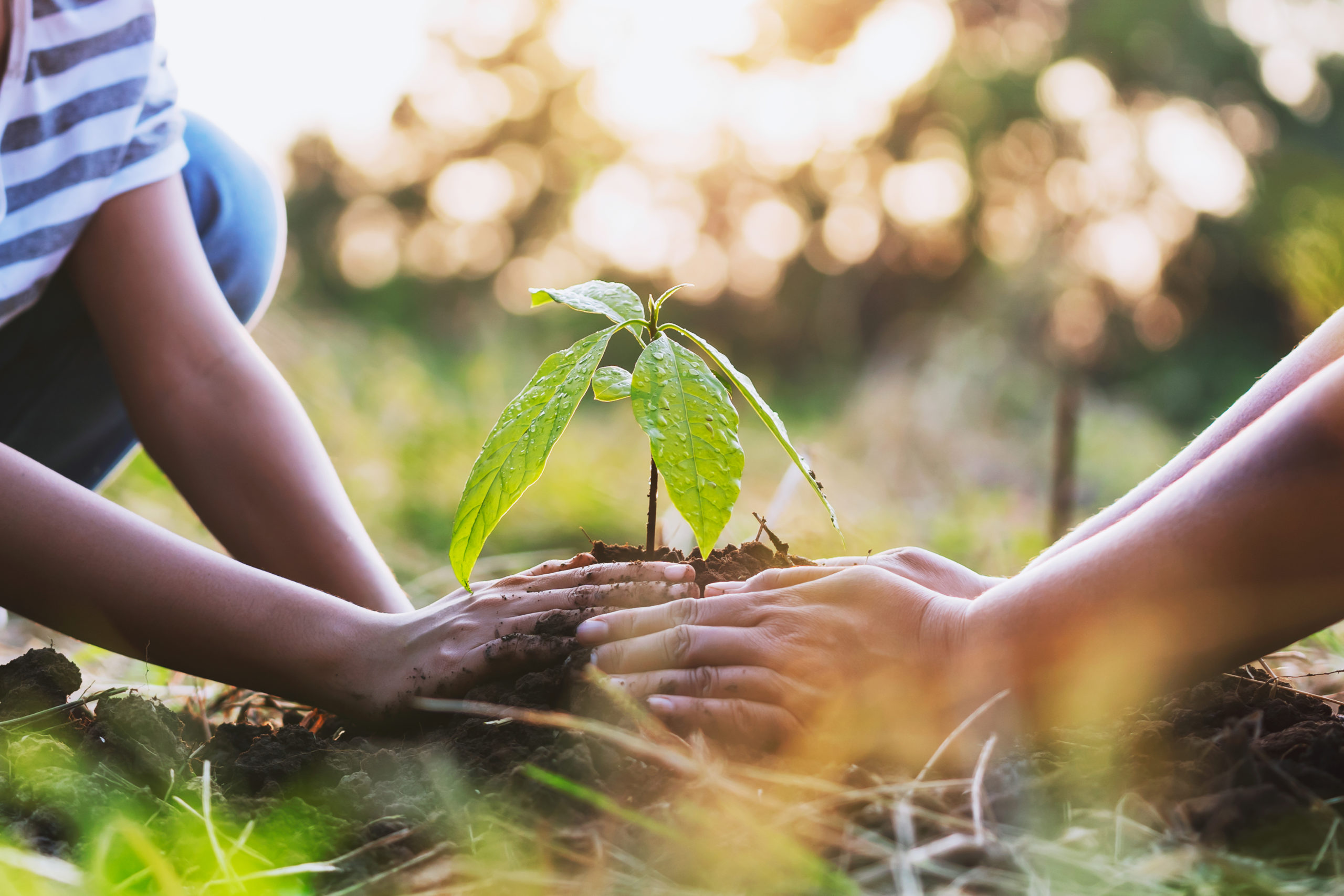 Mãe com criança ajudando a plantar uma árvore na natureza para salvar a Terra com conceitos ecológicos sobre impactos ambientais.