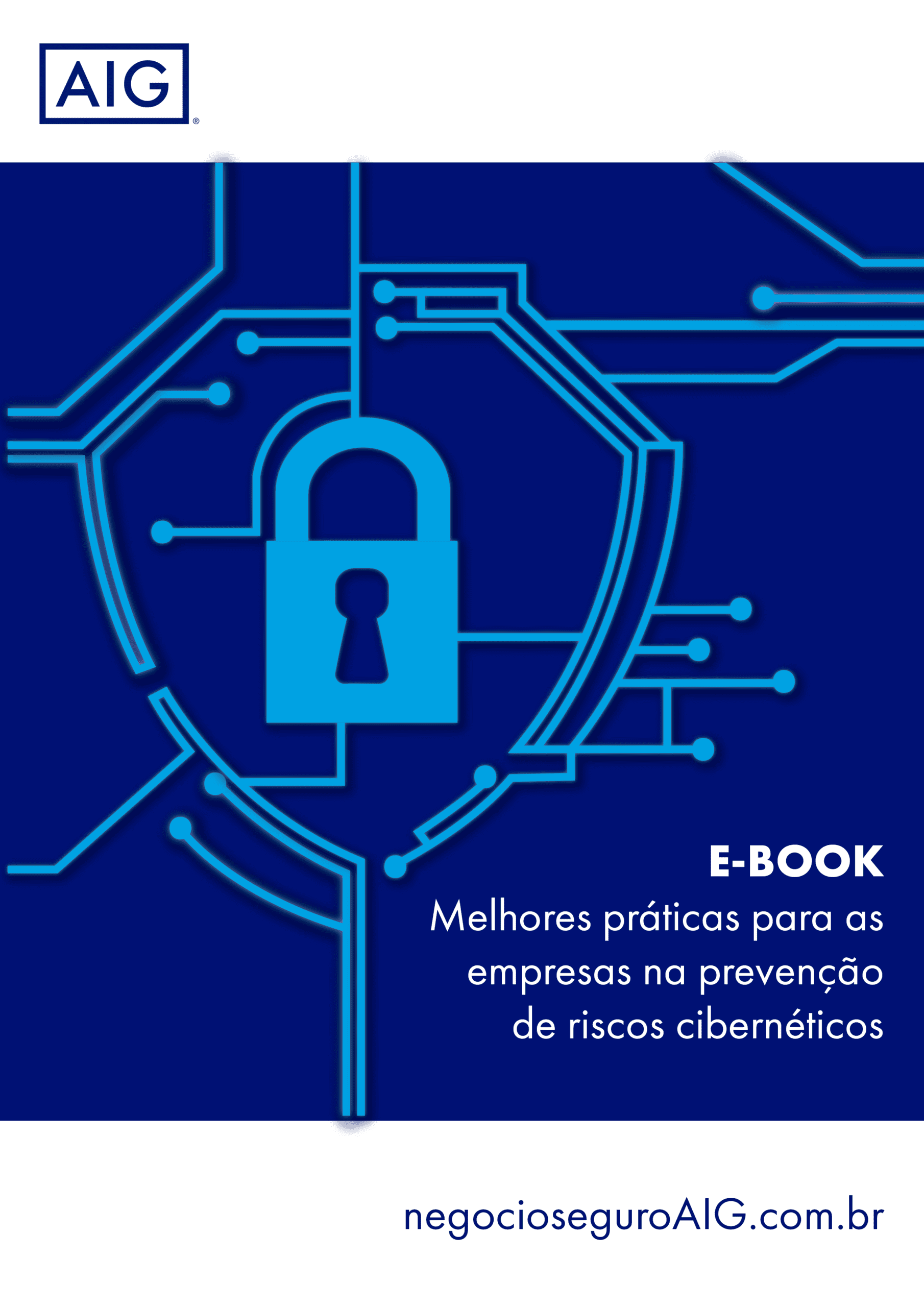 Melhores práticas para as empresas na prevenção de riscos cibernéticos