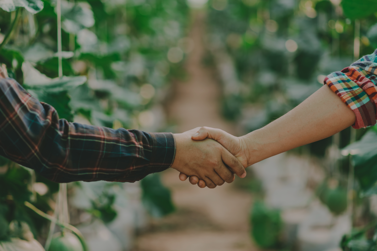 aperto de mão entre dois agricultores com fundo de plantação após acordo de cra