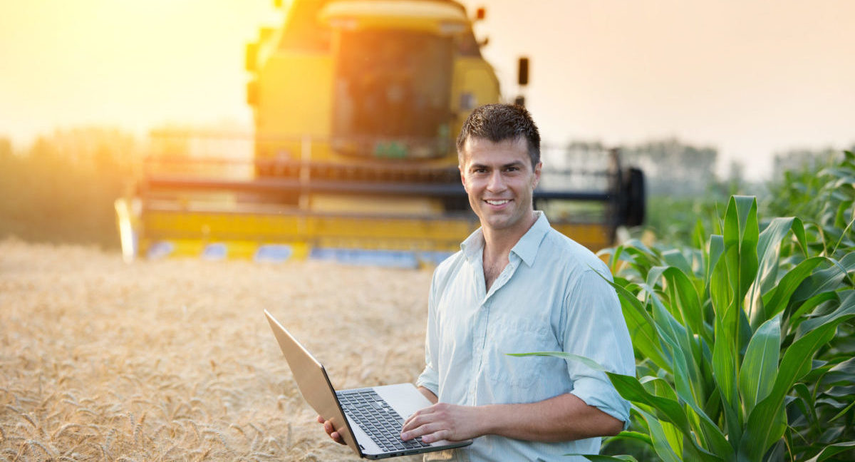 Gestão do Agronegócio: Quais os principais riscos que podem acontecer?