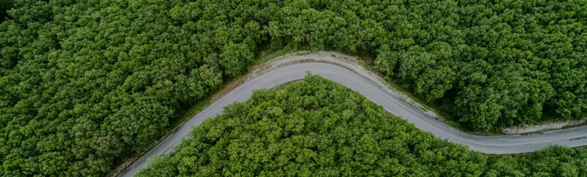 Uma imagem que ilustra uma rodovia no meio do mato