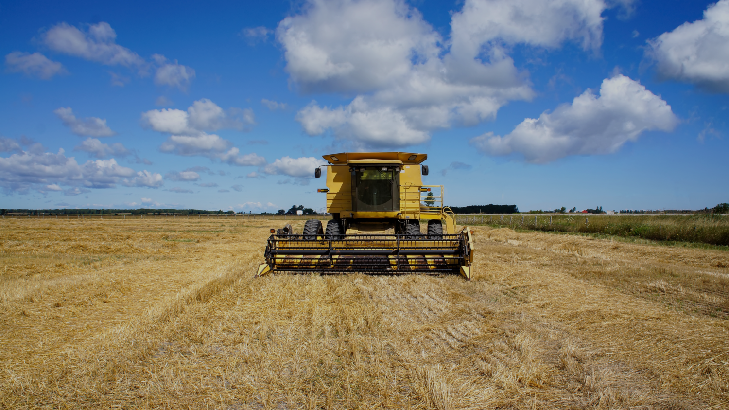 Máquinas Agrícolas: Conheça os principais tipos e riscos comuns