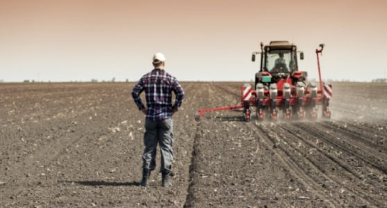 Uma fotografia que ilustra um homem e um semeadora agrícola