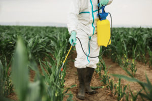 Pessoa com traje de proteção e luvas de borracha borrifando produtos químicos em plantação.