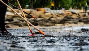 Trabalhadores limpando uma praia poluída, mostrando o impacto direto de vazamentos de produtos químicos no meio ambiente e nos esforços comunitários para restaurar a área.